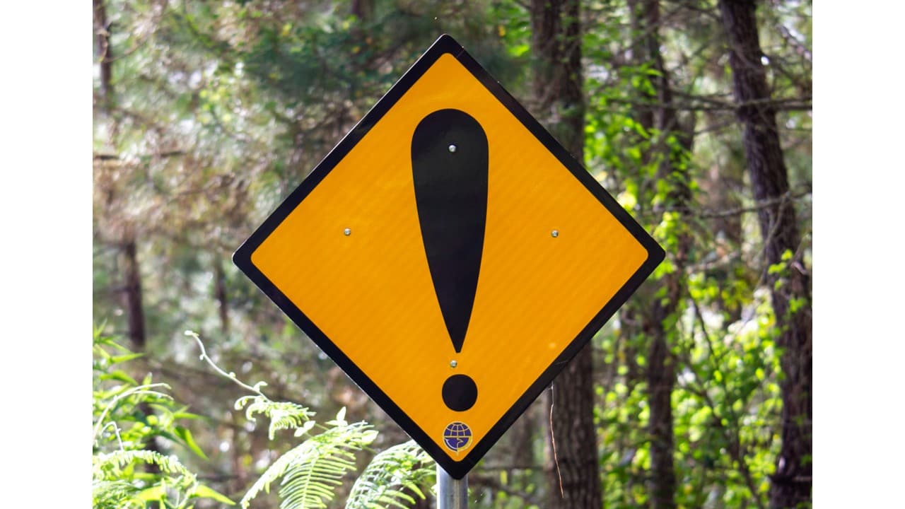 A yellow diamond-shaped warning sign with a black exclamation mark, against a green forest background.